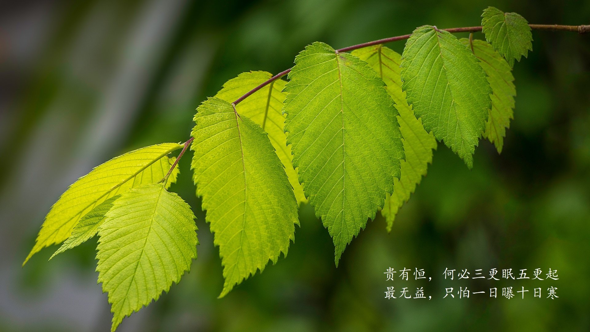 爱游戏平台-《虚拟偶像与电竞结合，开启行业新模式》，虚拟偶像作品有哪些