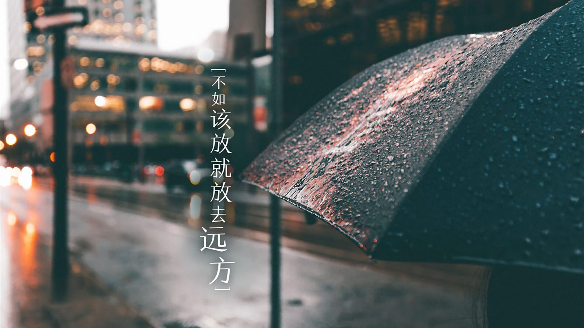 德甲著名教练换帅，战术调整引关注，德甲球员撞教练