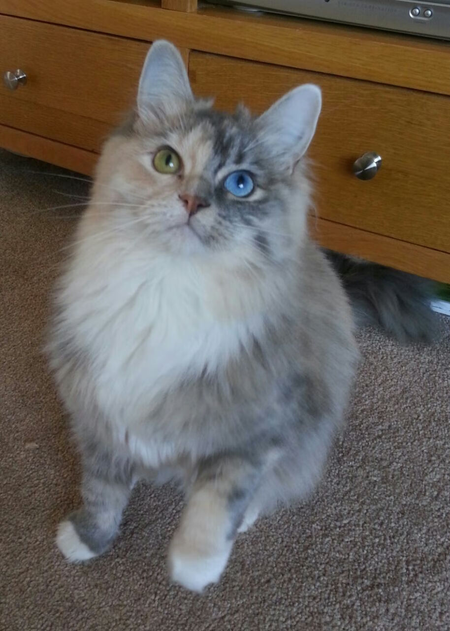 2025湖滨赛场:速度与激情在兴隆湖上演,兰考到开封的车