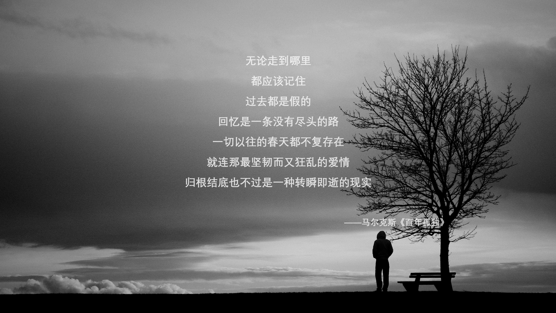 世界纪录选手划水周期大公开,划水冠军表情包