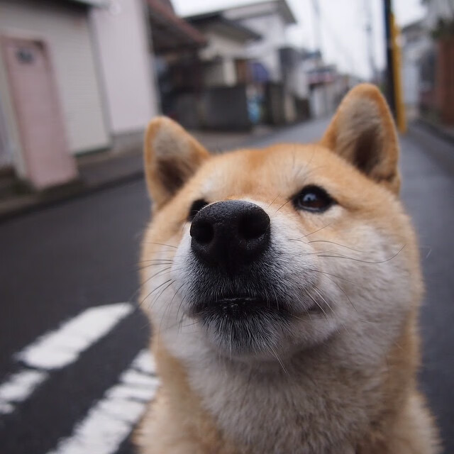 AYX官网-国外赛场热议中国球员表现，国外踢球的中国人
