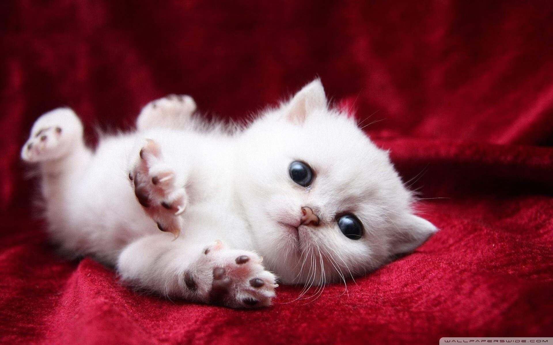 奥预赛中国青年队平局 技术层面仍需优化，青奥赛ymo