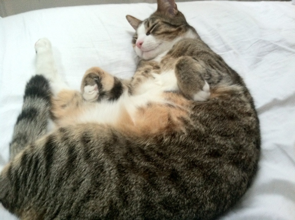 爱游戏-最经典绝杀视频回顾，最经典的绝杀