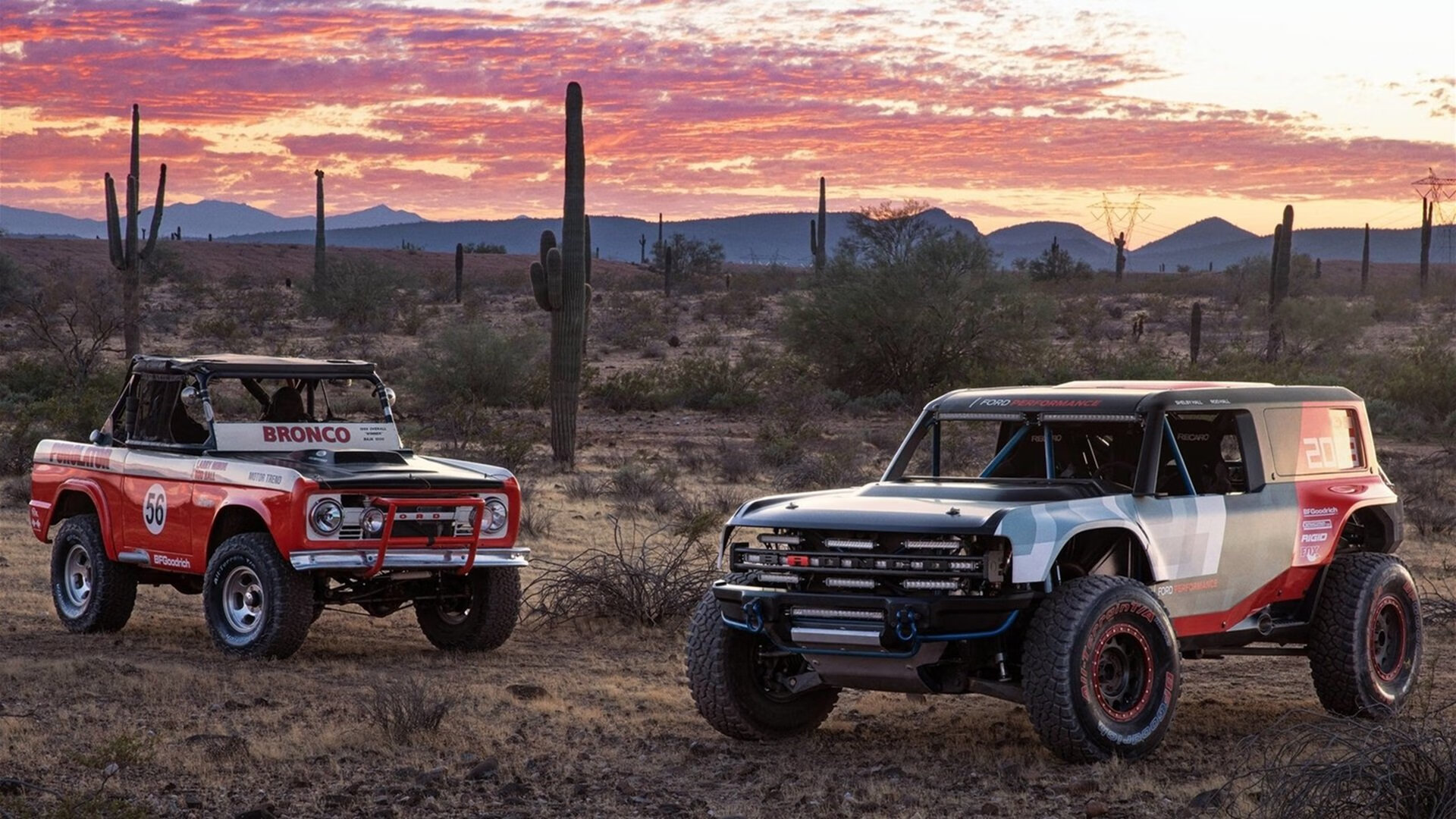 城市篮球IP建设计划启动结合球员粉丝与本地文化发展，十大篮球城市