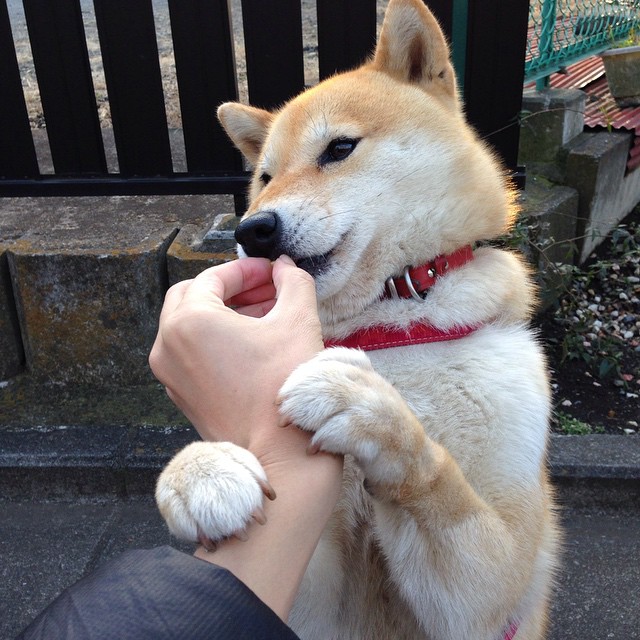 校园篮球教师研讨会聚焦课程设置与竞赛机制改革，篮球教研活动