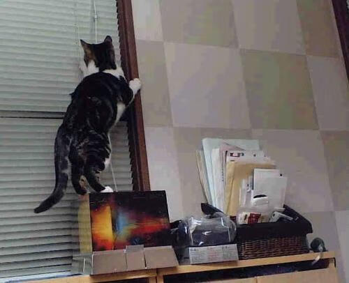 爱游戏体育-马里特·斯滕伯根赛场风采尽显未来潜力，马尔滕·斯特克伦博格