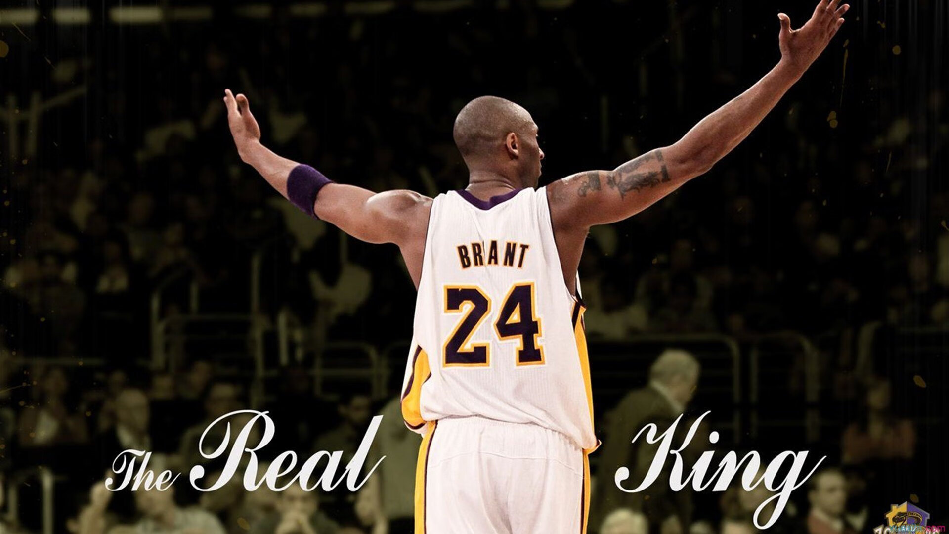 爱游戏体育平台-最萌球迷：他们的应援姿势火遍网络，篮球应援